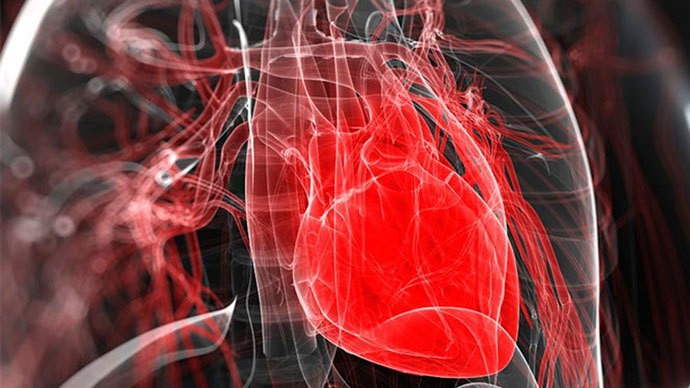 Stem Cell Treatment Regenerates Damaged Heart Tissue