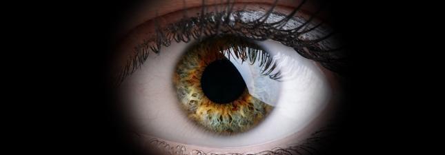 Global Stem Cells - See How Stem Cells Can Improve Vision Impairment