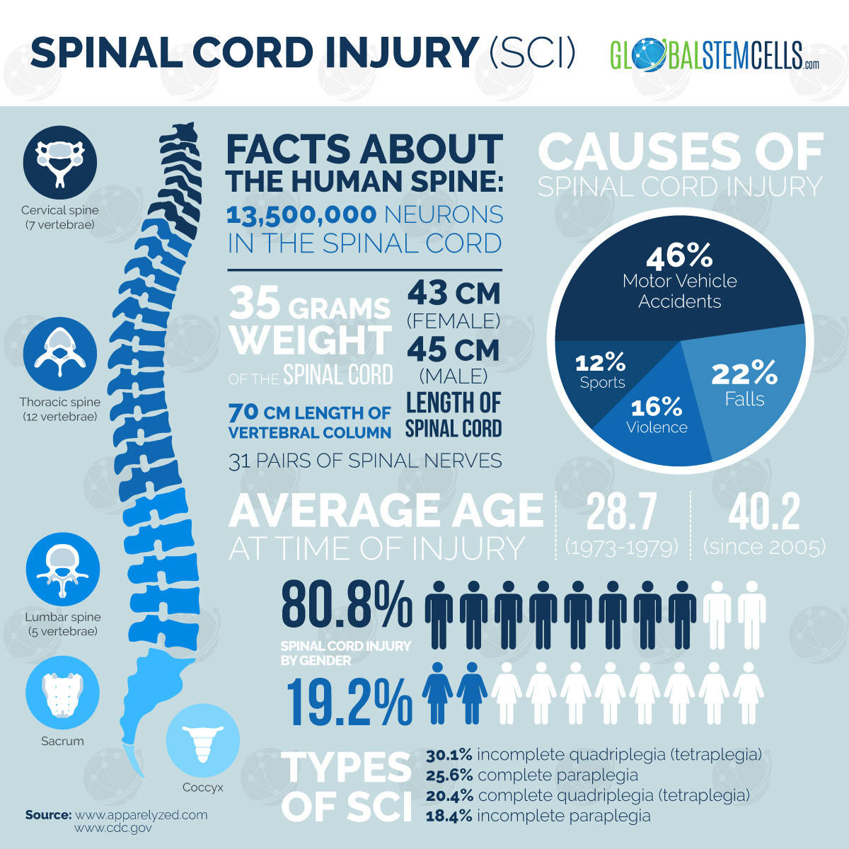 Spinal Cord Injury - Fact Sheet | Global Stem Cells