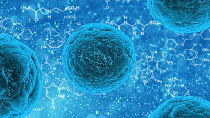 Adult Stem Cells Explained