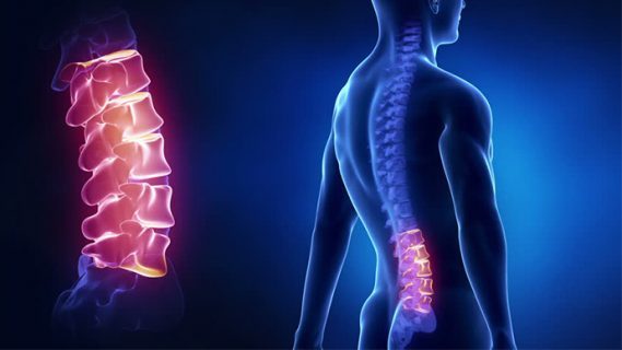 Stem Cell Transplantation for Spinal Cord Injuries – Global Stem Cells