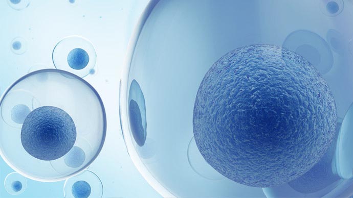 How Water Volume Affects Stem Cells